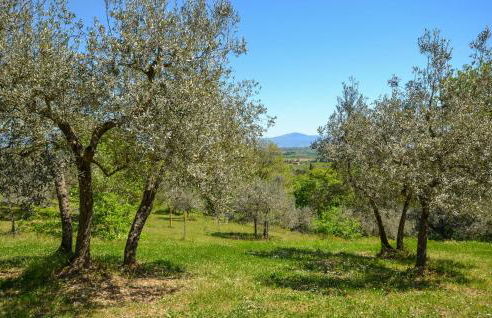 3 Bedroom Stunning Home In Monte San Savino - Foto 14