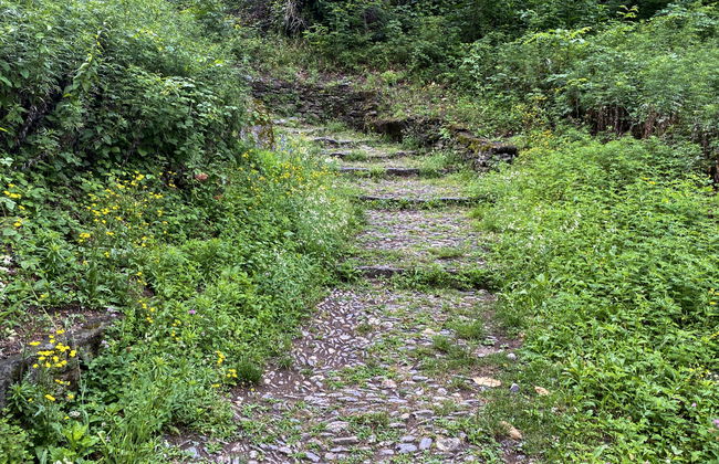 Casetta salita ai Castelli - Foto 23