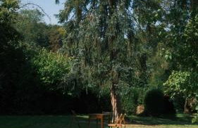 Maison Maa, Maison de gardien, à 10 min à pieds de St Valery sur somme le long du canal - Foto 18
