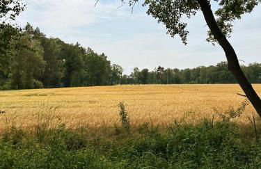 Tiny House mit Saunafass im Wendland - Foto 22