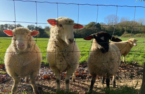 Admiral's Cottage - Photo 13