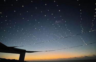 Musa Paradisiaca - Foto 14