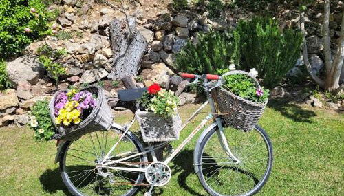 Villa Les palmiers en Provence - Logement cosy 4 pers - Foto 5, Garden