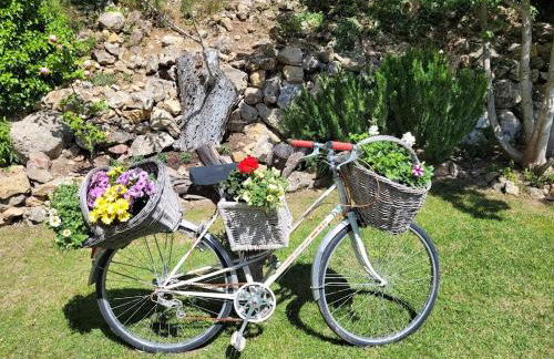 Villa Les palmiers en Provence - Logement cosy 4 pers - Foto 5