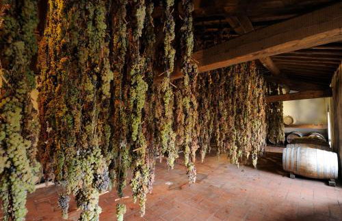 Castello di Volpaia - Foto 83