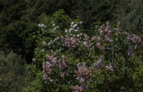 Ferienwohnung Schwalbennest - Foto 63