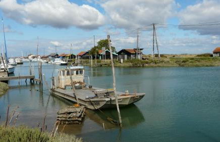 La Terrasse La Tremblade - Foto 46