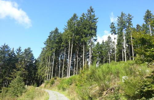 Ferienwohnung am Eifelsteig Vulkaneifel-Auszeit - Foto 19