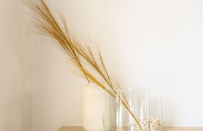 Phaedrus Living Seaview Limnaria 154 - Foto 24