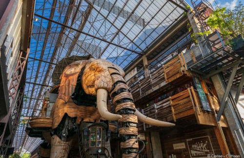 Cerise Nantes La Beaujoire - Foto 138