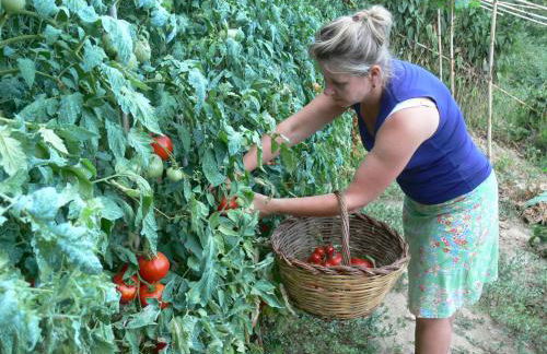 Agriturismo La Filomena - Foto 14