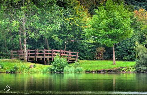 Quilt Inn - Photo 38