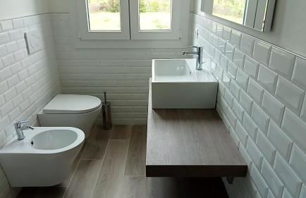 Riccio di Mare - Foto 11