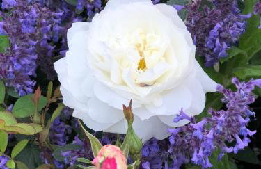 The Stables and Hayloft - Foto 26