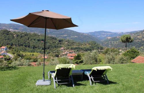 Casa de Campo - Cinfães do Douro - Foto 7