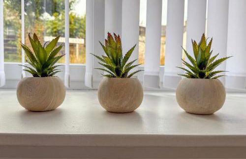 Duffus Nights - Foto 6