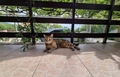 Apartman Rosita - Foto 14