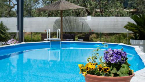 Le Cerbaie - Casa Vacanze - Foto 3, Garden, sunbed, Garden view