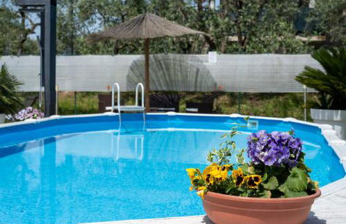 Le Cerbaie - Casa Vacanze - Foto 3