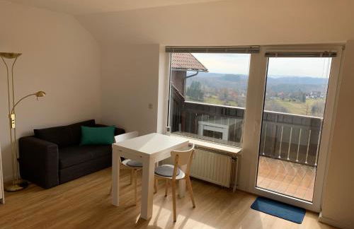 Gemütliche Ferienwohnung Harz Braunlage Hohegeiß - Foto 11