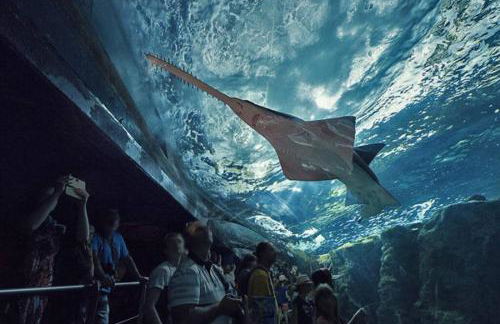 Nouveau - studio aux portes de Brest - Foto 27