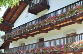 Flora Alpina apartments-Residenza Verdebjo - Foto 11