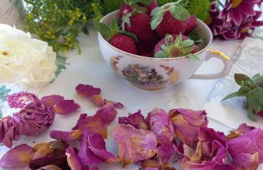 Villa Ioanneta - Close to sea, private parking, pet-friendly - Photo 39