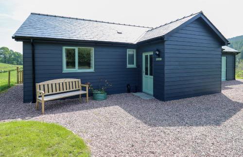 Dol Blodau - Photo 27