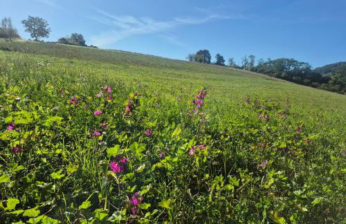 Ferienwohnung Julianna - Foto 29