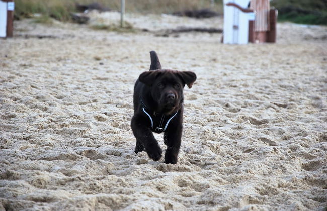 Haus Seewind 10 - Foto 24