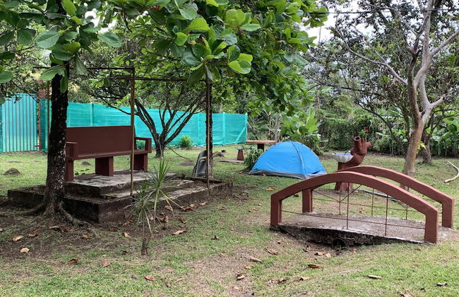 TIPS Vacation - Foto 29