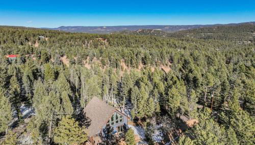 Rustic cabin charm w/ hot tub, arcade basketball - Foto 5