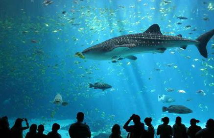 Creta guesthouse ARXONTIKO! - Foto 61