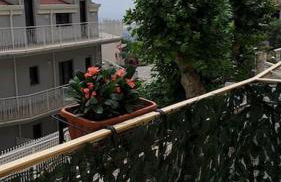 Antony's Hause - Foto 10