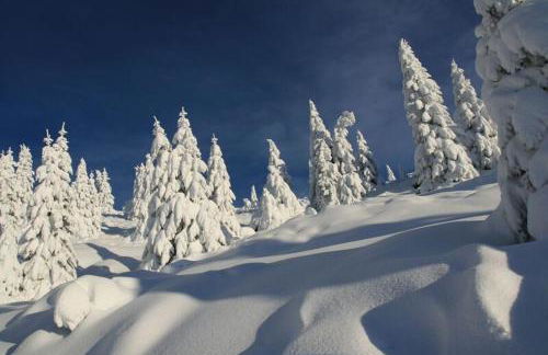 CASA MIFEL -- APP. GERANIO - Foto 31