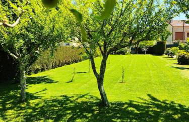 A Chamiseiriña - Foto 28