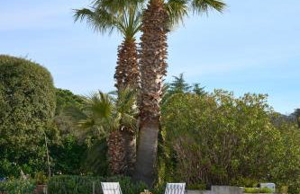 Sunlight Properties - Villa Belvédère - Foto 43