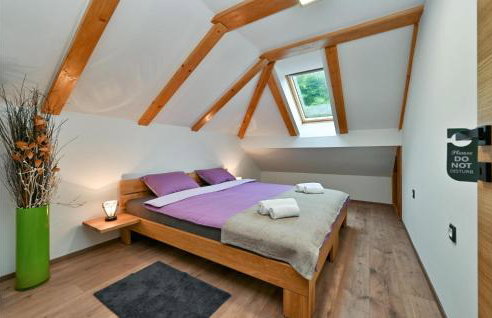 Cozy Home In Vitesinec With Sauna - Foto 8