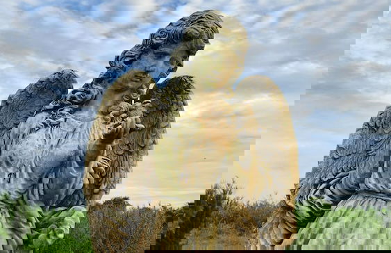 Natura Ravee Greenstay - Photo 78