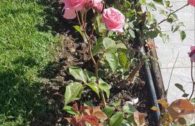 Silver villa Raches maisonette & Green - Foto 65