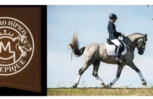 MARBELLA BEACHFRONT - Beachside apartment with stunning sea views - Photo 44