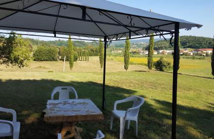 Podere Lo Stringaio - Foto 24