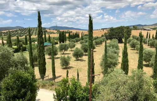 Borgo Venecca - Foto 42