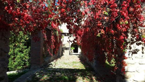 Giardino Donna Lavia - Foto 4, Garden