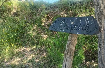 Quinta D' LuzArcoIris - Foto 40