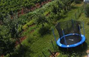 Crystal Apartment Umag - Foto 24