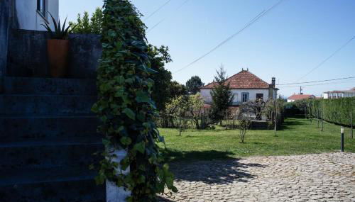 12 Casa d'Avó - Foto 4, Garden