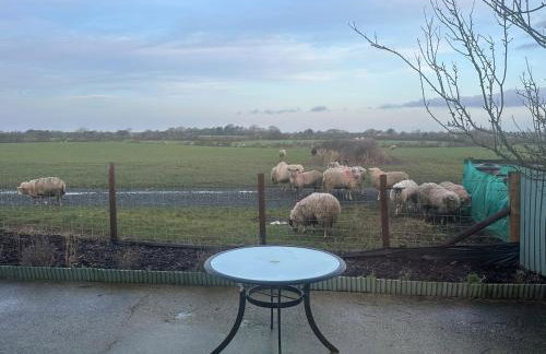 The Bungalow - Photo 16