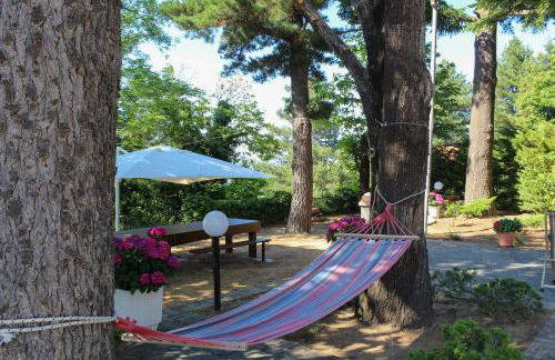 Villa Curcio casa vacanze - Photo 8