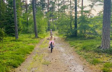 Siedlisko Wytowno - Foto 31